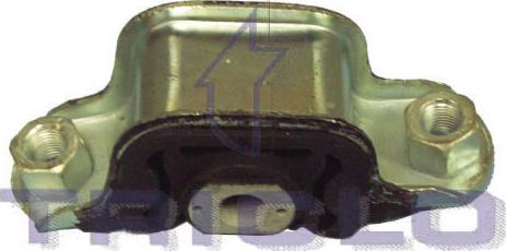 Triclo 361624 - Piekare, Dzinējs www.autospares.lv