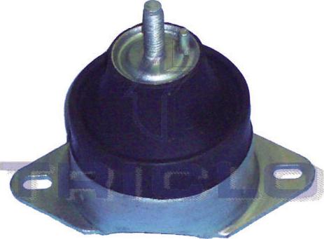 Triclo 361628 - Подушка, опора, подвеска двигателя www.autospares.lv