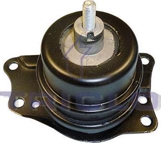 Triclo 363163 - Piekare, Dzinējs www.autospares.lv