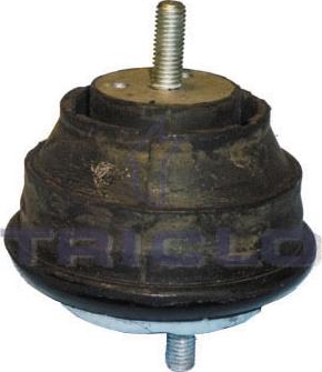 Triclo 362303 - Piekare, Dzinējs www.autospares.lv