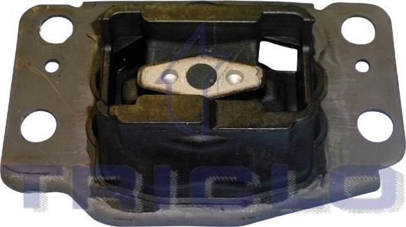 Triclo 367011 - Piekare, Dzinējs www.autospares.lv