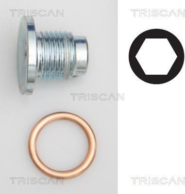 Triscan 9500 1019 - Резьбовая пробка, масляный поддон www.autospares.lv