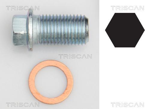 Triscan 9500 1012 - Sealing Plug, oil sump www.autospares.lv