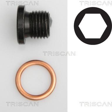 Triscan 9500 2906 - Korķis, Eļļas vācele autospares.lv