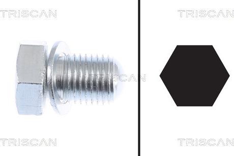 Triscan 9500 2903 - Sealing Plug, oil sump www.autospares.lv