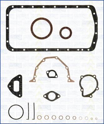 Triscan 595-1806 - Blīvju komplekts, Motora bloks www.autospares.lv