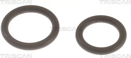 Triscan 596-1002 - Blīvju komplekts, Iesmidzināšanas sprausla www.autospares.lv