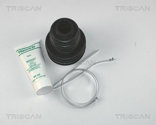 Triscan 8540 13901 - Bellow, drive shaft www.autospares.lv