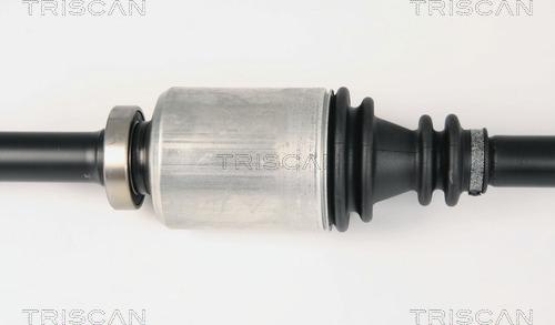 Triscan 8540 25619 - Piedziņas vārpsta www.autospares.lv