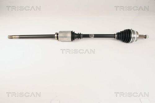 Triscan 8540 25619 - Piedziņas vārpsta www.autospares.lv