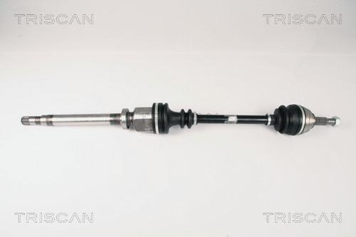 Triscan 8540 25612 - Piedziņas vārpsta www.autospares.lv