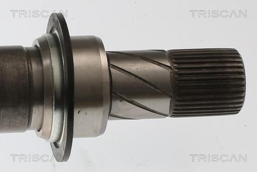 Triscan 8540 25738 - Piedziņas vārpsta www.autospares.lv