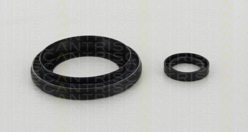 Triscan 8550 16002 - Shaft Seal Set, clutch www.autospares.lv