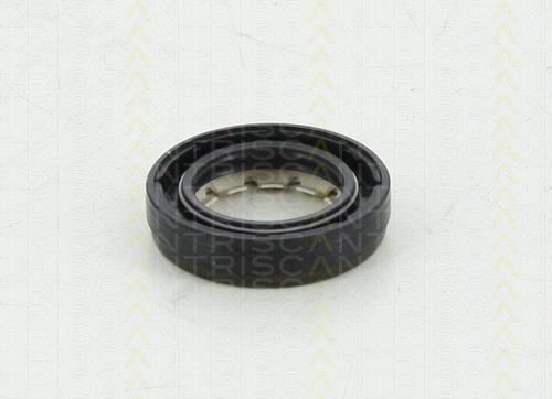 Triscan 8550 10043 - Vārpstas blīvgredzens, Diferenciālis www.autospares.lv