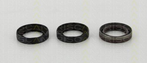 Triscan 8550 10059 - Shaft Seal Set, engine www.autospares.lv