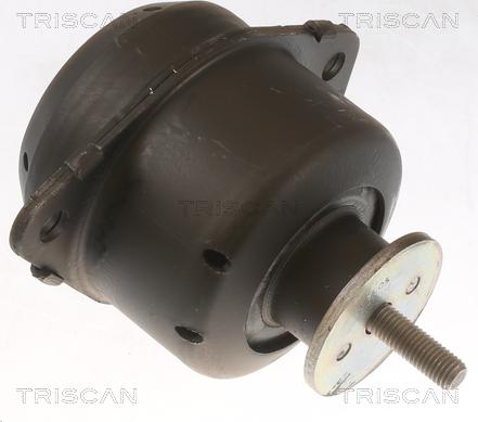 Triscan 8505 65103 - Piekare, Dzinējs www.autospares.lv