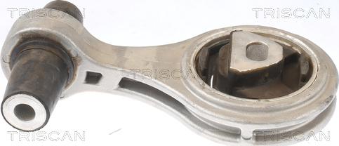 Triscan 8505 15101 - Piekare, Dzinējs www.autospares.lv