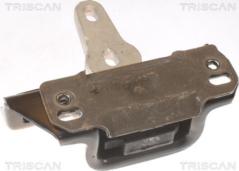 Triscan 8505 16107 - Piekare, Dzinējs www.autospares.lv