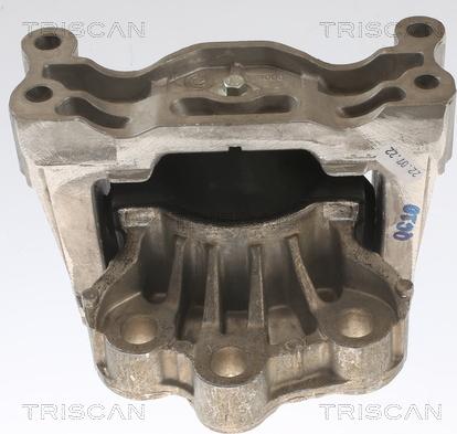 Triscan 8505 16121 - Piekare, Dzinējs www.autospares.lv