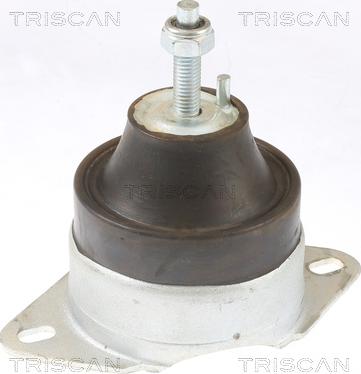 Triscan 8505 10119 - Подушка, опора, подвеска двигателя www.autospares.lv