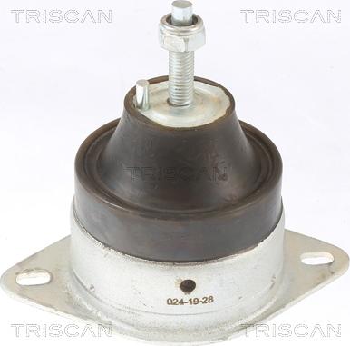 Triscan 8505 10119 - Подушка, опора, подвеска двигателя www.autospares.lv