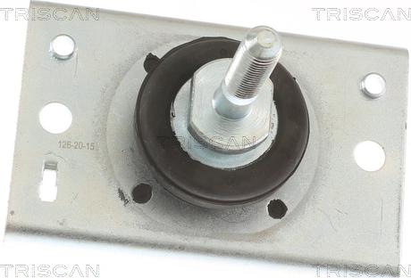 Triscan 8505 10116 - Piekare, Dzinējs www.autospares.lv