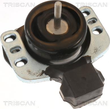 Triscan 8505 10118 - Piekare, Dzinējs www.autospares.lv