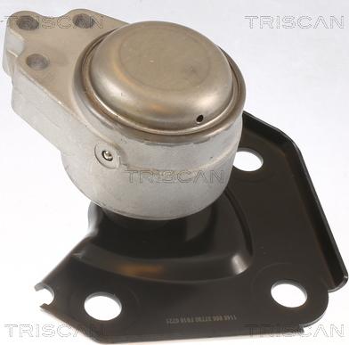 Triscan 8505 10136 - Piekare, Dzinējs www.autospares.lv