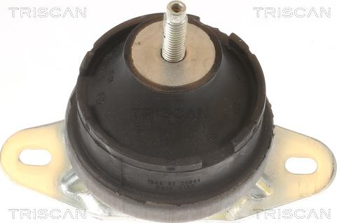 Triscan 8505 10131 - Piekare, Dzinējs autospares.lv