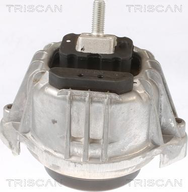Triscan 8505 11103 - Piekare, Dzinējs www.autospares.lv