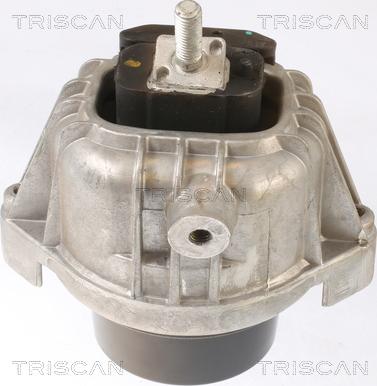 Triscan 8505 11110 - Piekare, Dzinējs www.autospares.lv