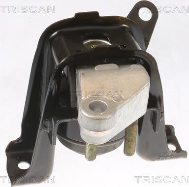 Triscan 8505 13100 - Piekare, Dzinējs www.autospares.lv