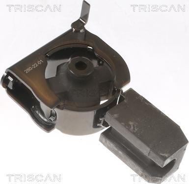 Triscan 8505 13102 - Piekare, Dzinējs www.autospares.lv