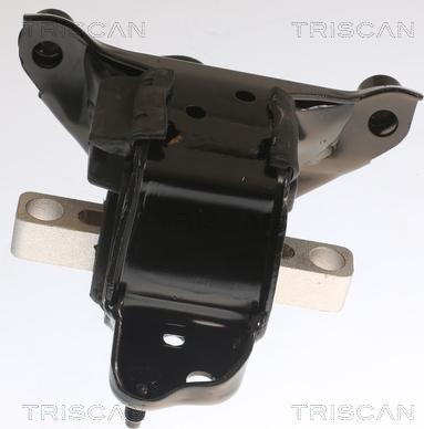 Triscan 8505 29104 - Piekare, Dzinējs www.autospares.lv