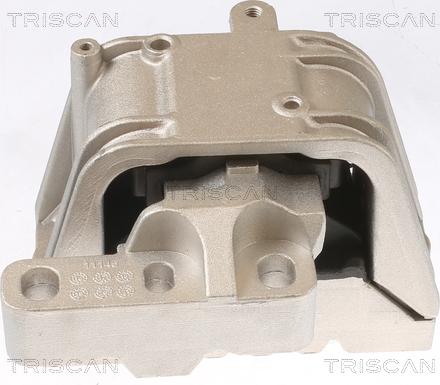 Triscan 8505 29119 - Piekare, Dzinējs www.autospares.lv