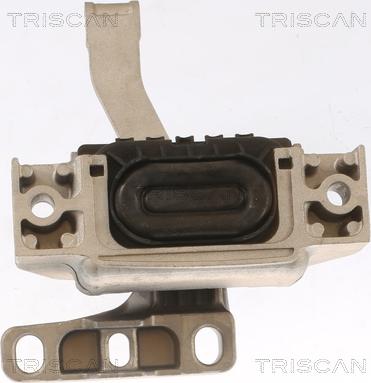 Triscan 8505 29117 - Piekare, Dzinējs www.autospares.lv