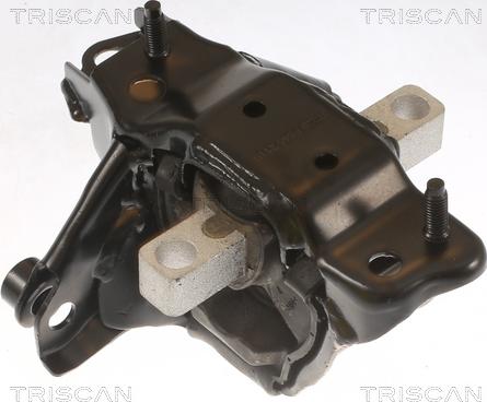 Triscan 8505 29139 - Piekare, Dzinējs www.autospares.lv