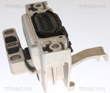 Triscan 8505 29129 - Piekare, Dzinējs www.autospares.lv