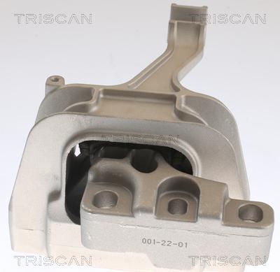 Triscan 8505 29129 - Piekare, Dzinējs www.autospares.lv