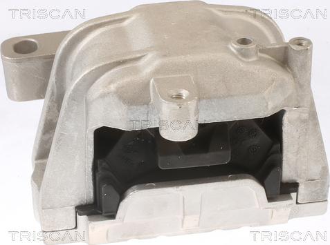 Triscan 8505 29124 - Piekare, Dzinējs www.autospares.lv