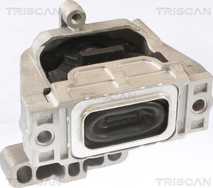 Triscan 8505 29124 - Piekare, Dzinējs www.autospares.lv