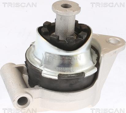 Triscan 8505 24117 - Piekare, Dzinējs www.autospares.lv