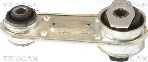 Triscan 8505 25109 - Piekare, Dzinējs www.autospares.lv