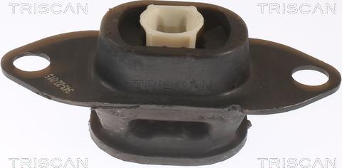 Triscan 8505 25116 - Piekare, Dzinējs www.autospares.lv