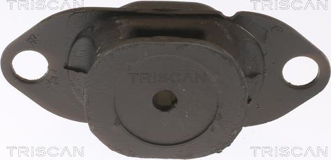 Triscan 8505 25116 - Piekare, Dzinējs www.autospares.lv