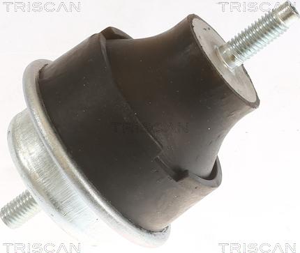 Triscan 8505 28113 - Piekare, Dzinējs autospares.lv