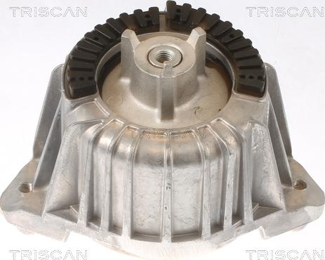 Triscan 8505 23101 - Piekare, Dzinējs www.autospares.lv