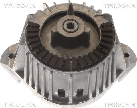 Triscan 8505 23107 - Piekare, Dzinējs www.autospares.lv