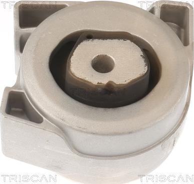 Triscan 8505 23200 - Piekare, Dzinējs www.autospares.lv