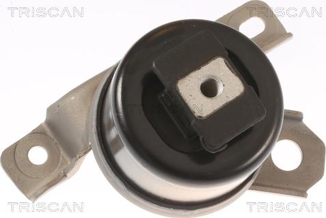 Triscan 8505 27107 - Piekare, Dzinējs www.autospares.lv